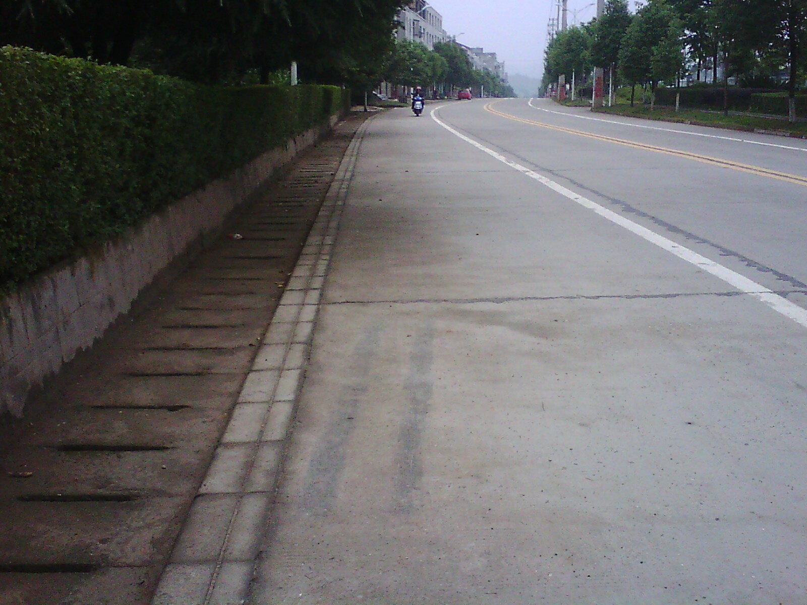 IMG02719.jpg