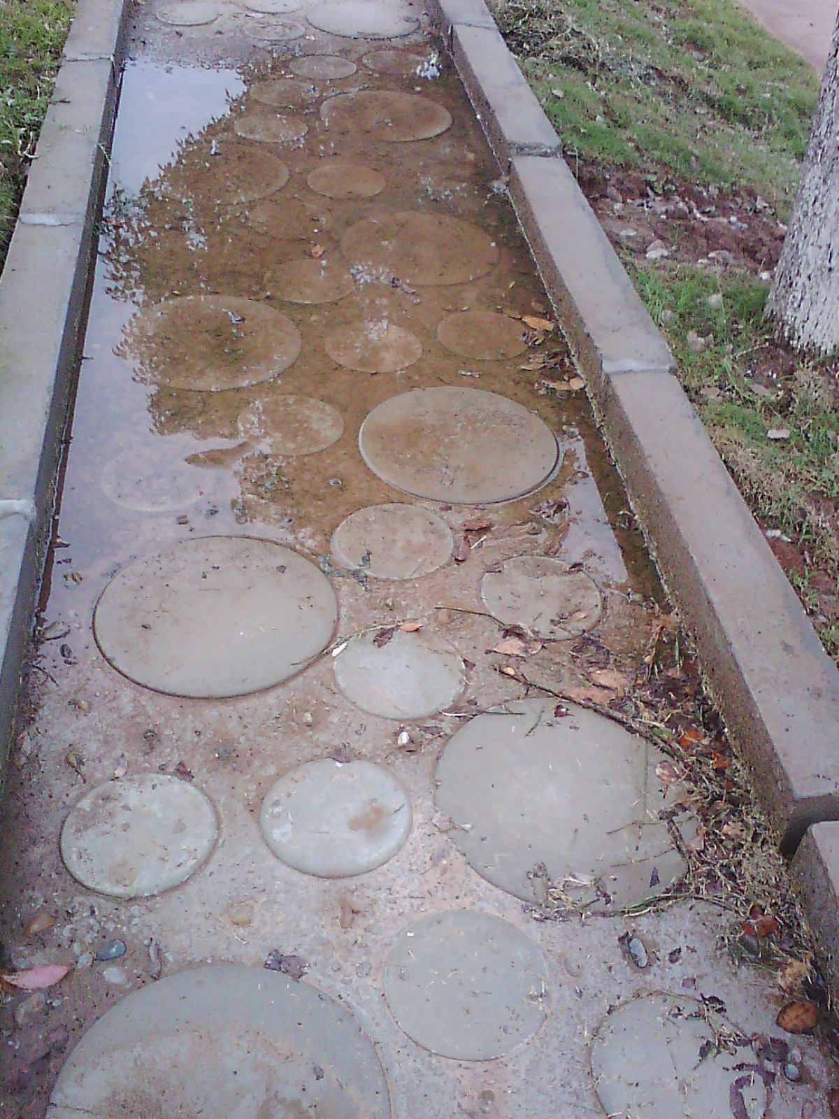 IMG02728.jpg