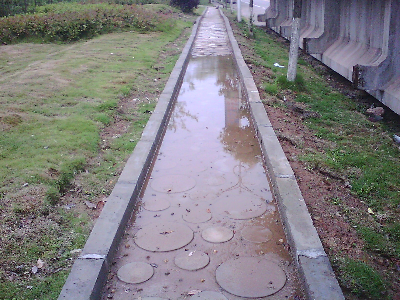 IMG02731.jpg