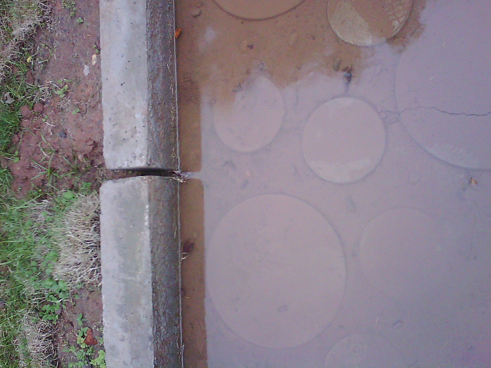 IMG02733.jpg