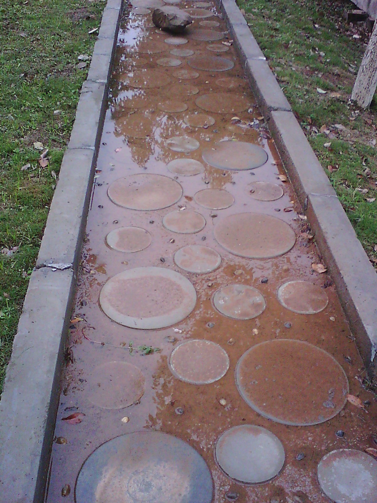 IMG02735.jpg