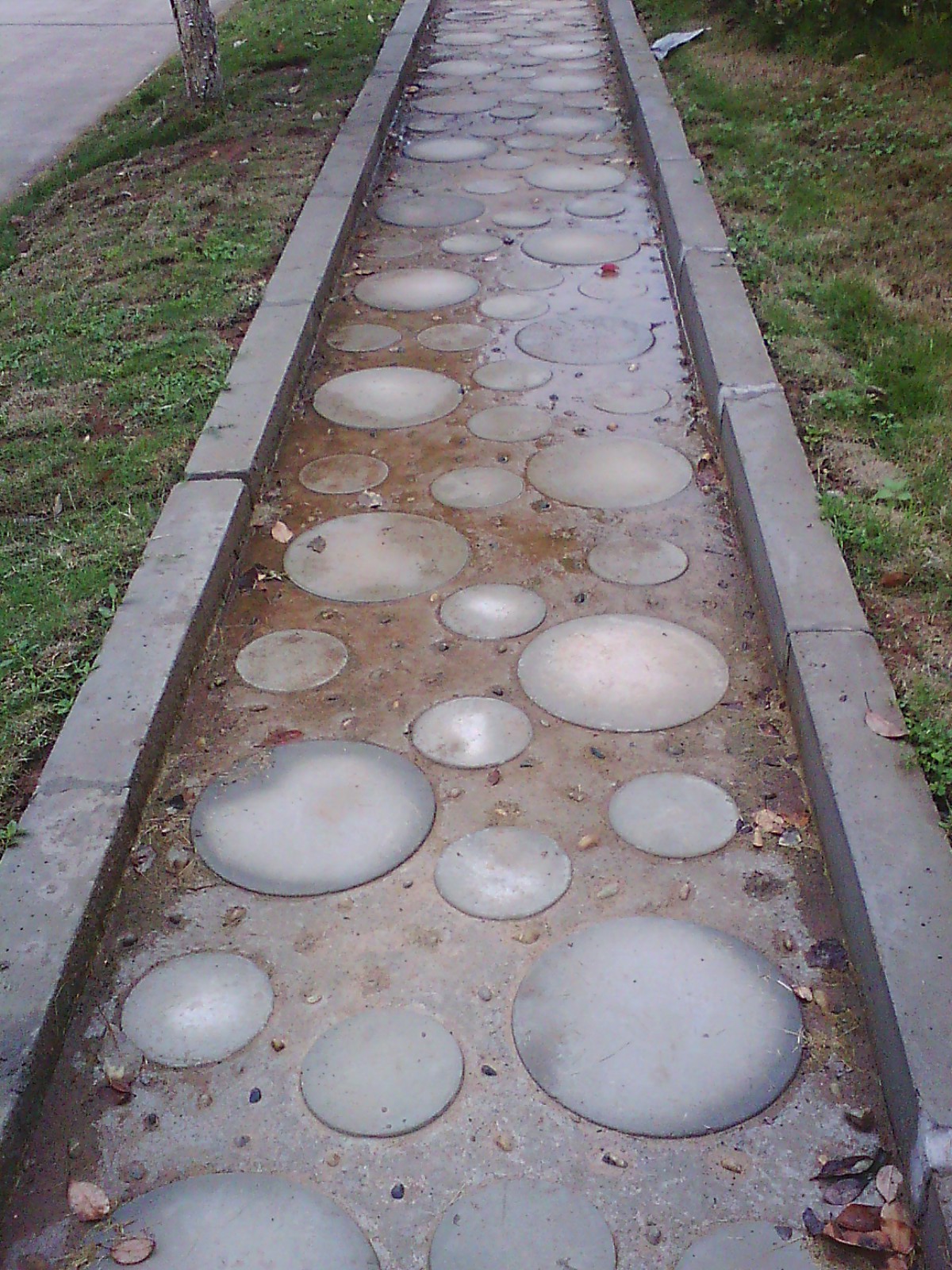 IMG02739.jpg
