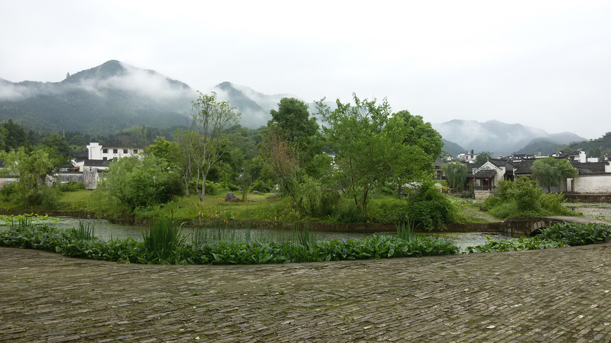 20150515_090727_.jpg