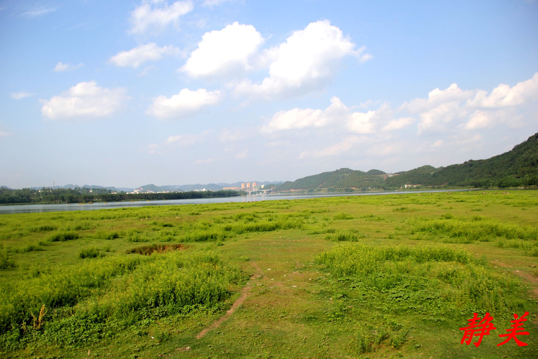 IMG_7817.jpg
