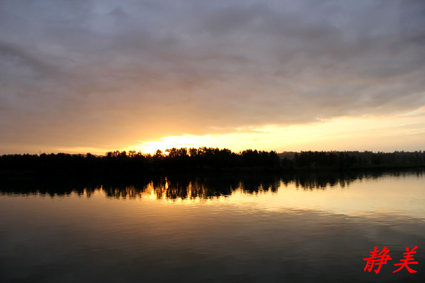 IMG_7647.jpg