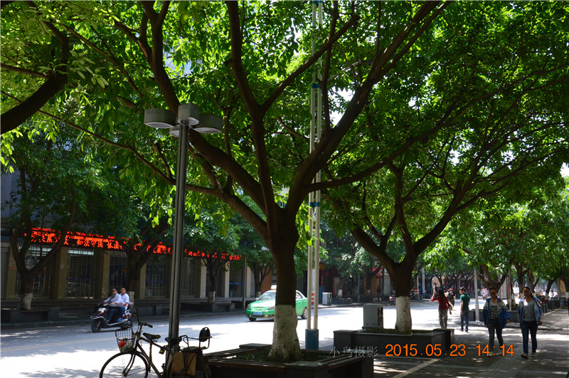 DSC_0018_.jpg