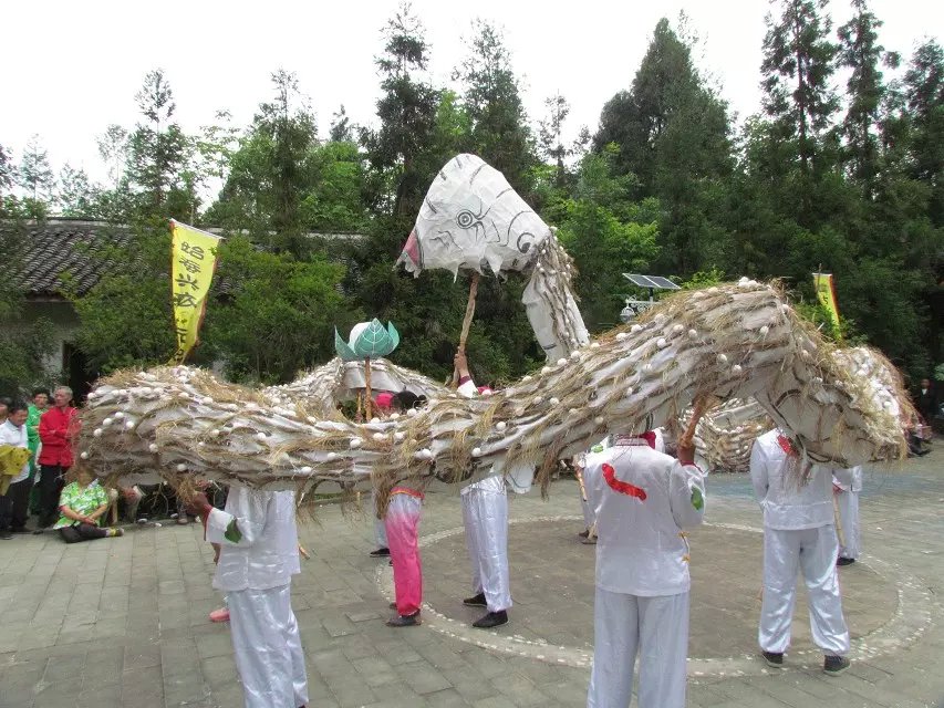 茶亭龍潭廟2015岐伯巡鄉 剛剛從朋友的qq空間偷來的》