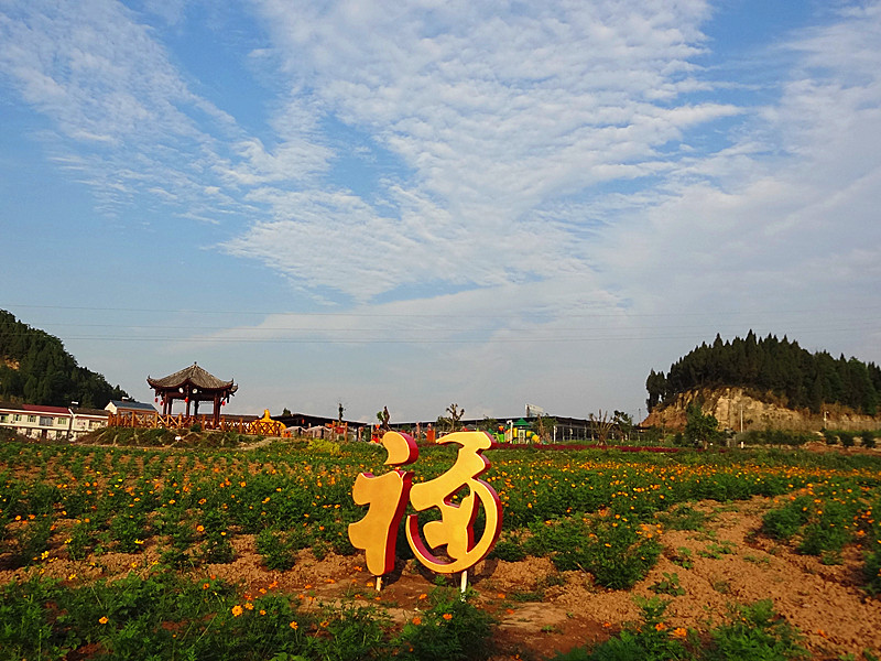 四川西充百科园图片