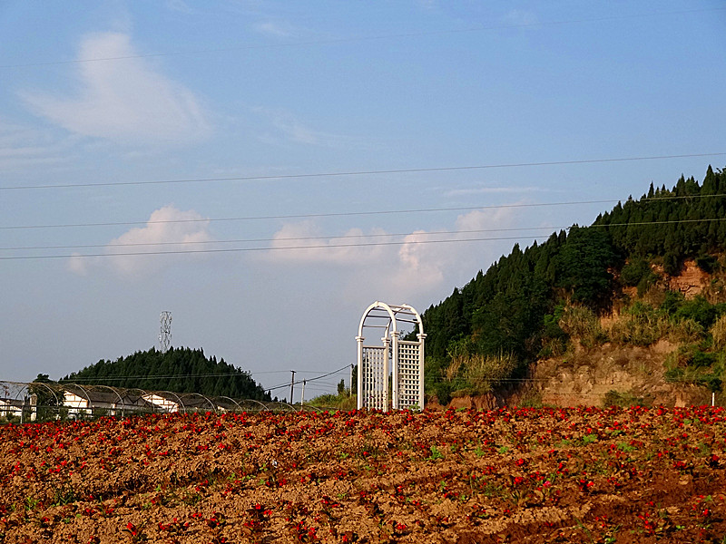 四川西充百科园图片