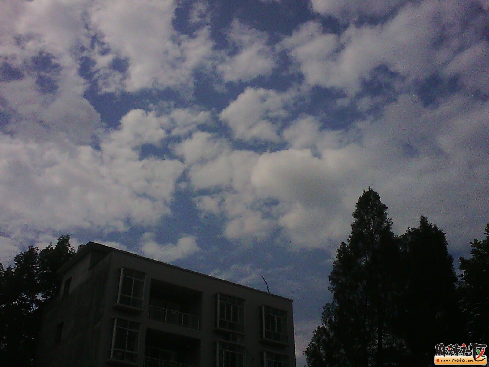 IMG02875.jpg