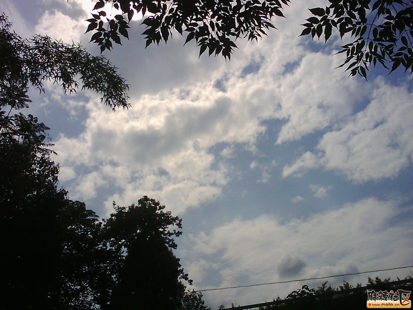 IMG02884.jpg