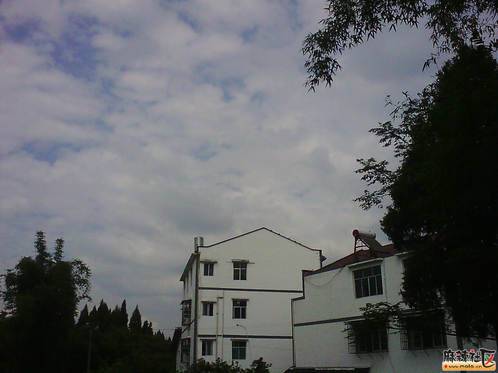 IMG02885.jpg