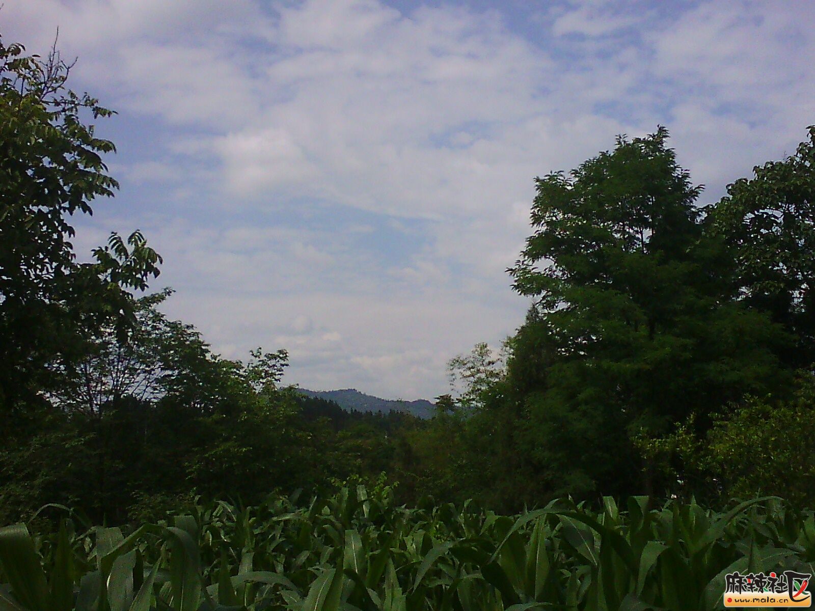 IMG02891.jpg