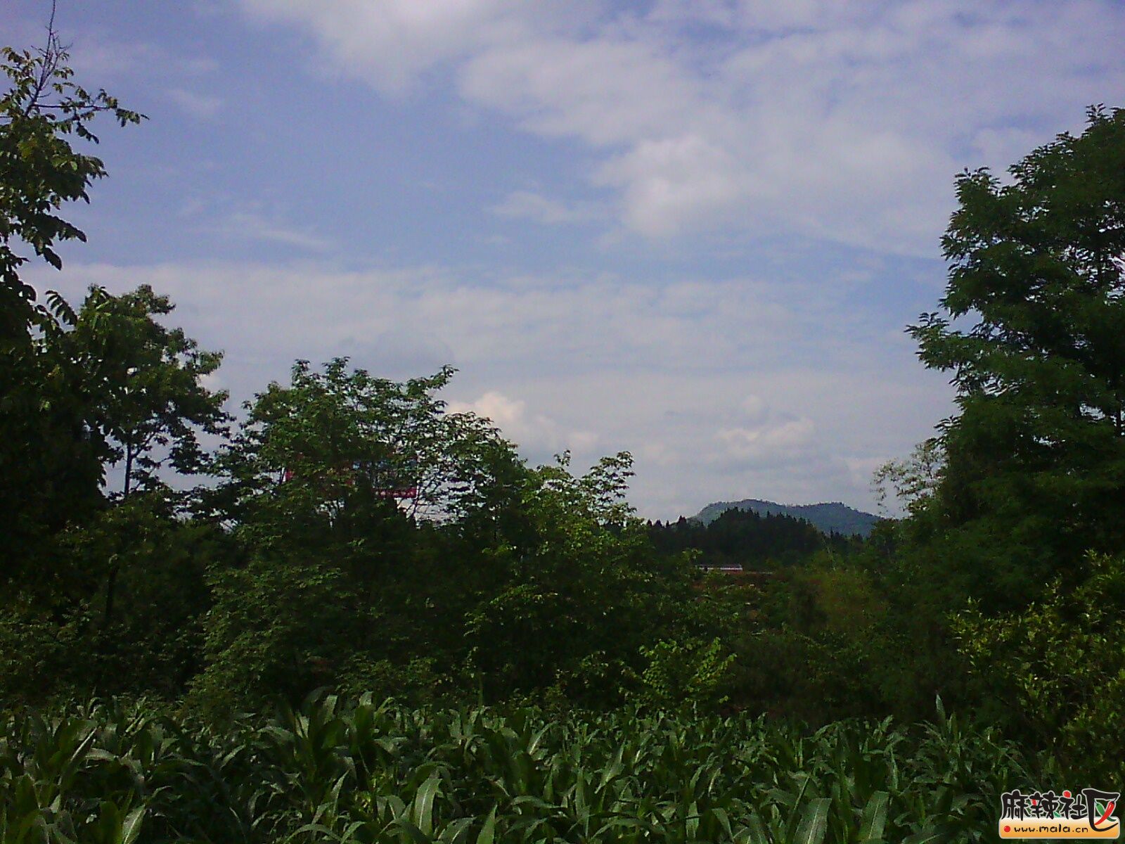 IMG02892.jpg