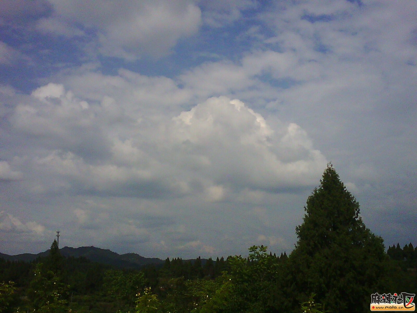 IMG02910.jpg