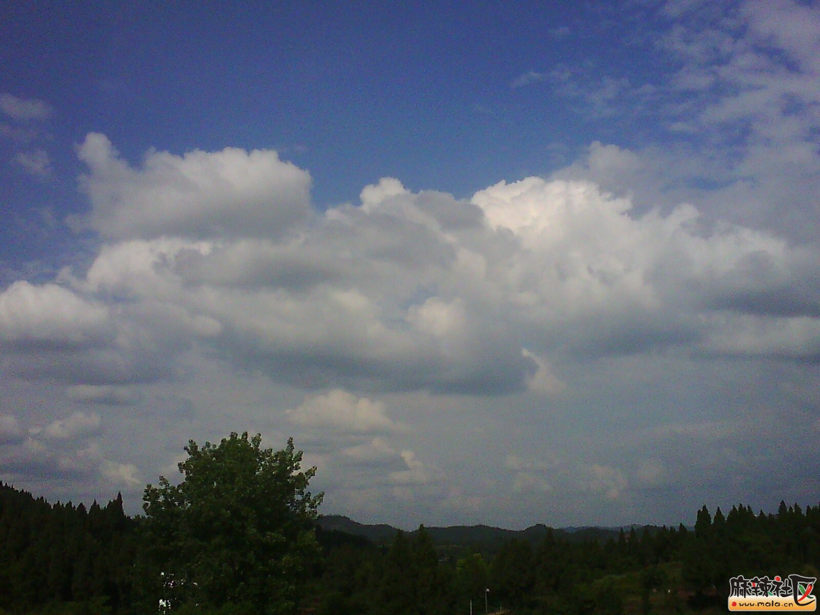 IMG02923.jpg