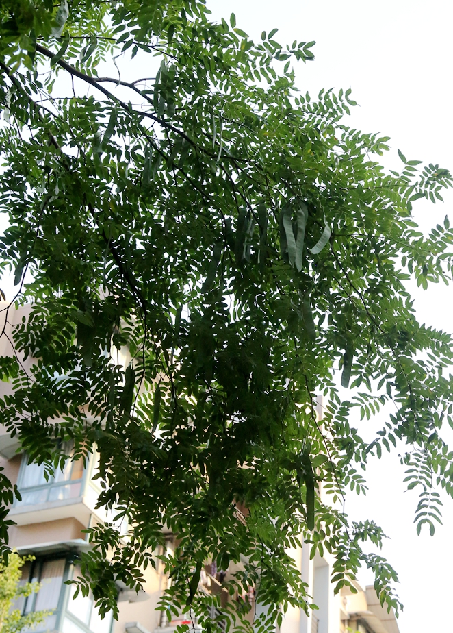 S98A0235_.jpg