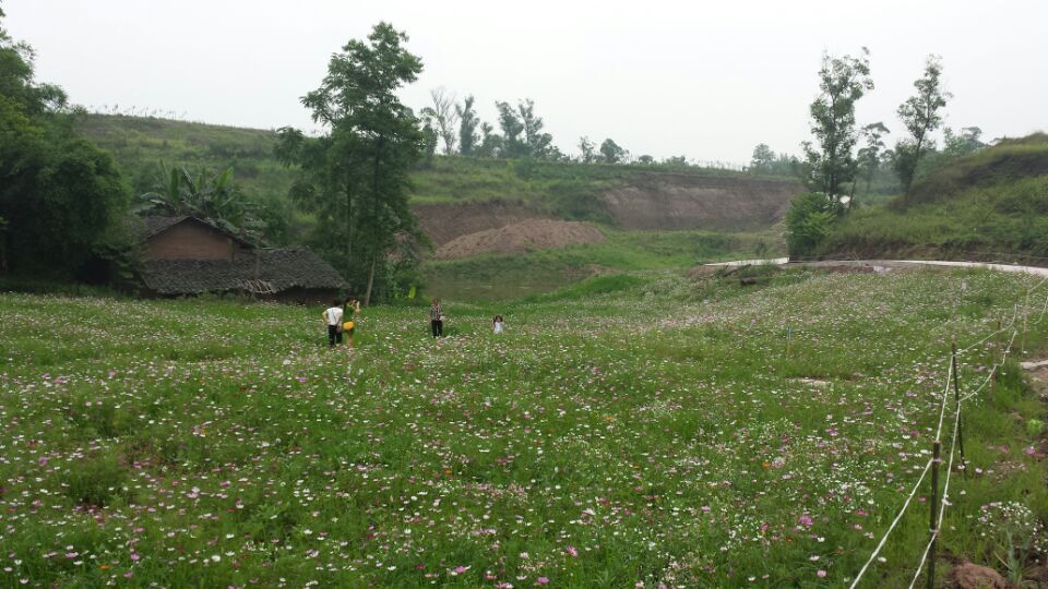 QQͼƬ20150528151603.jpg