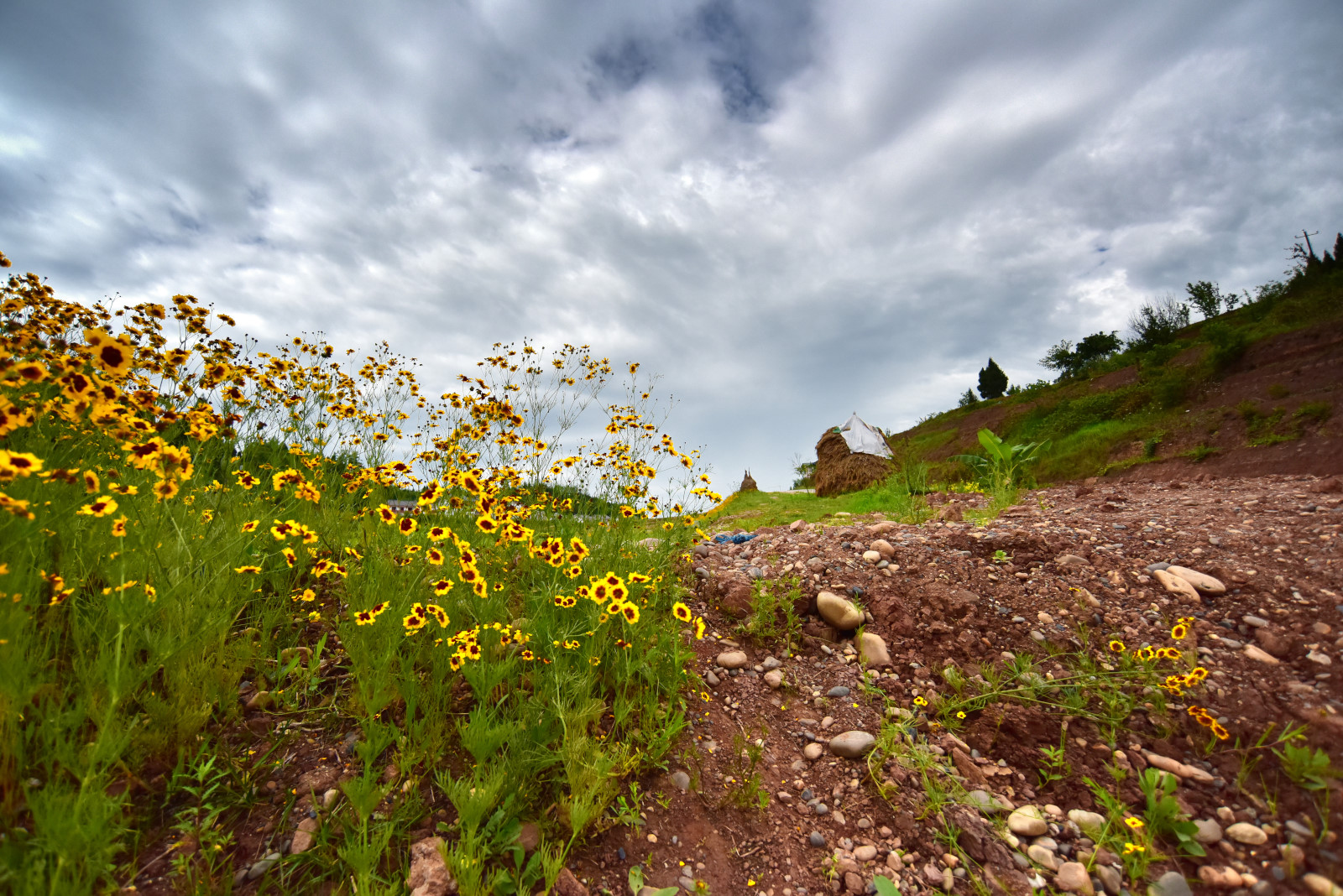 DSC_7090.JPG