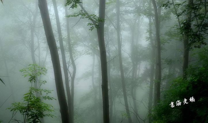 DSC_5895_.jpg