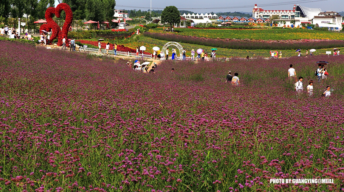 DPP_83368378A.jpg