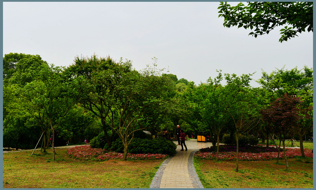 成都市植物園景色