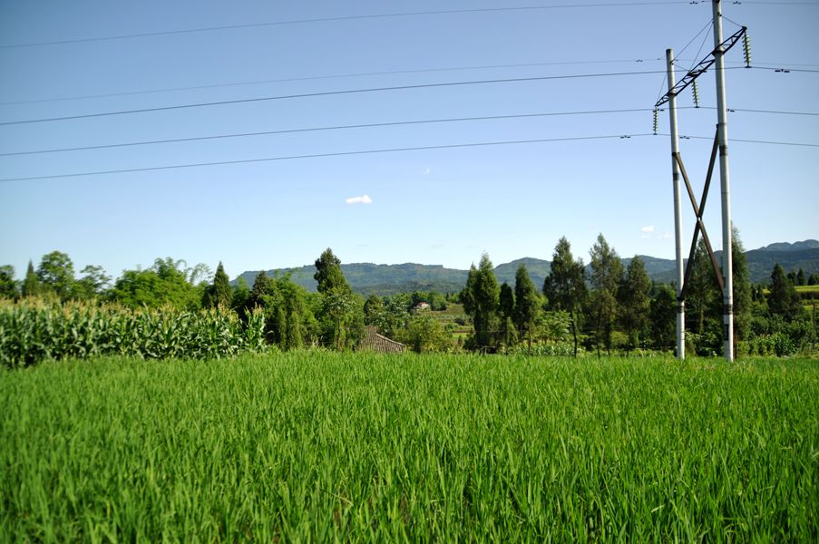 DSC_0410.JPG