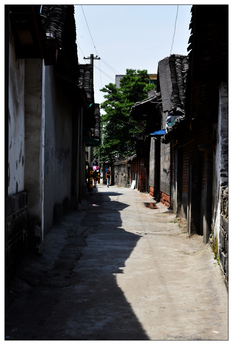 DSC_8188.jpg