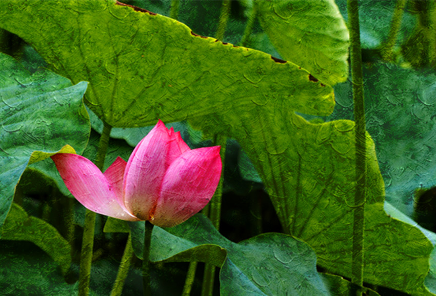 DSC_7083_.jpg