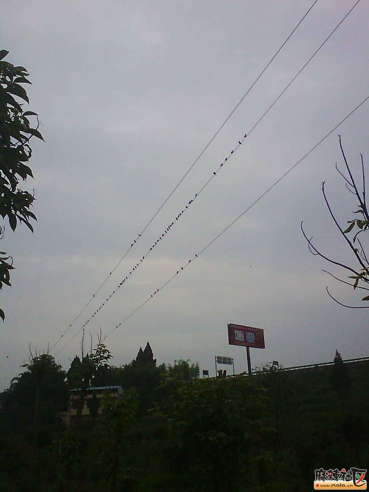 IMG03398.jpg
