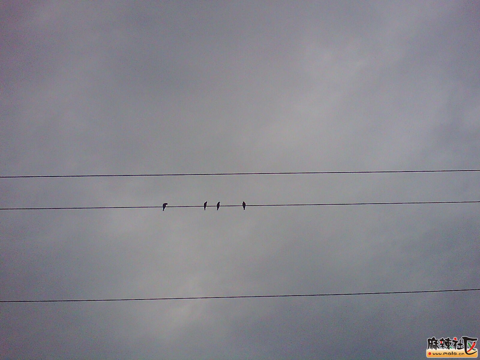 IMG03405.jpg