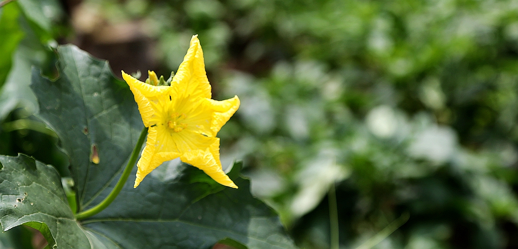 S98A4178_.jpg
