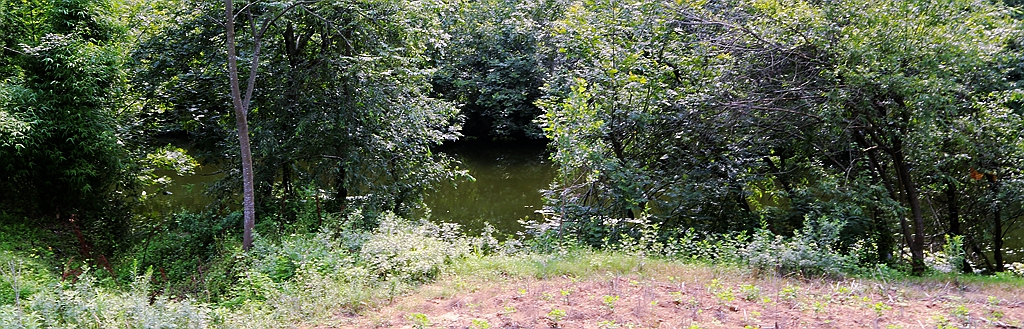 S98A4449_.jpg