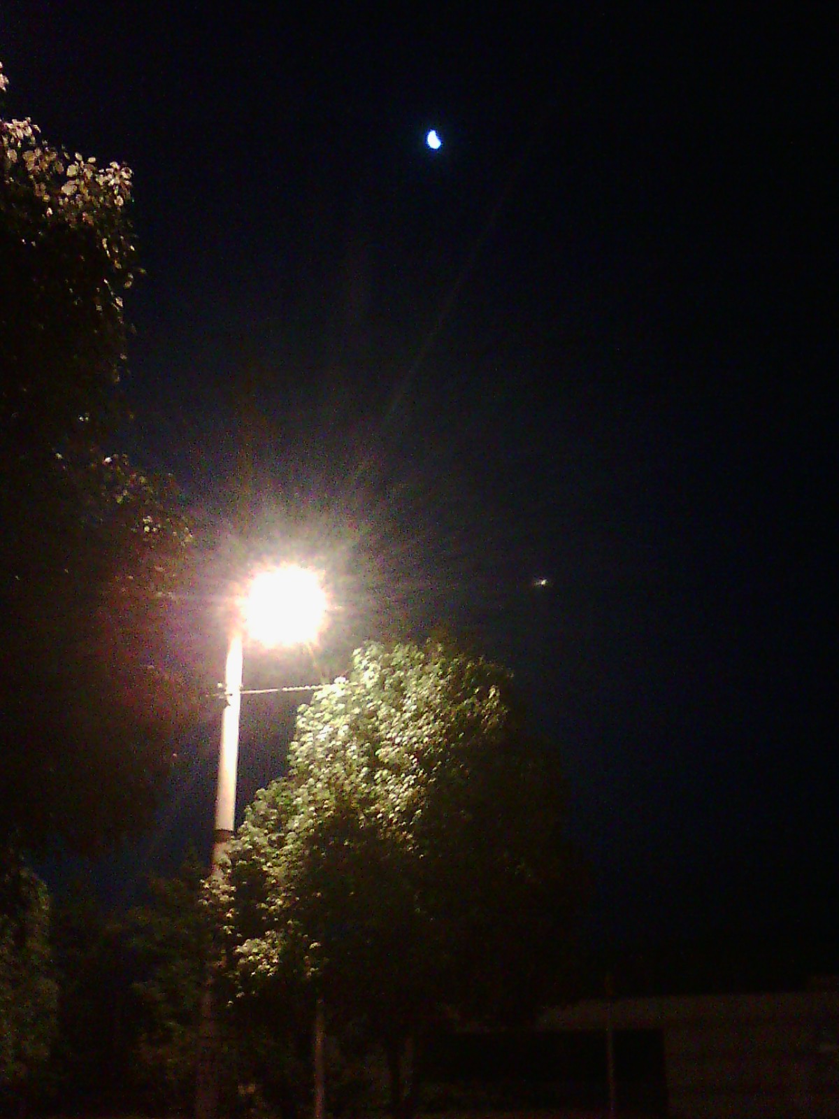 IMG03520.jpg
