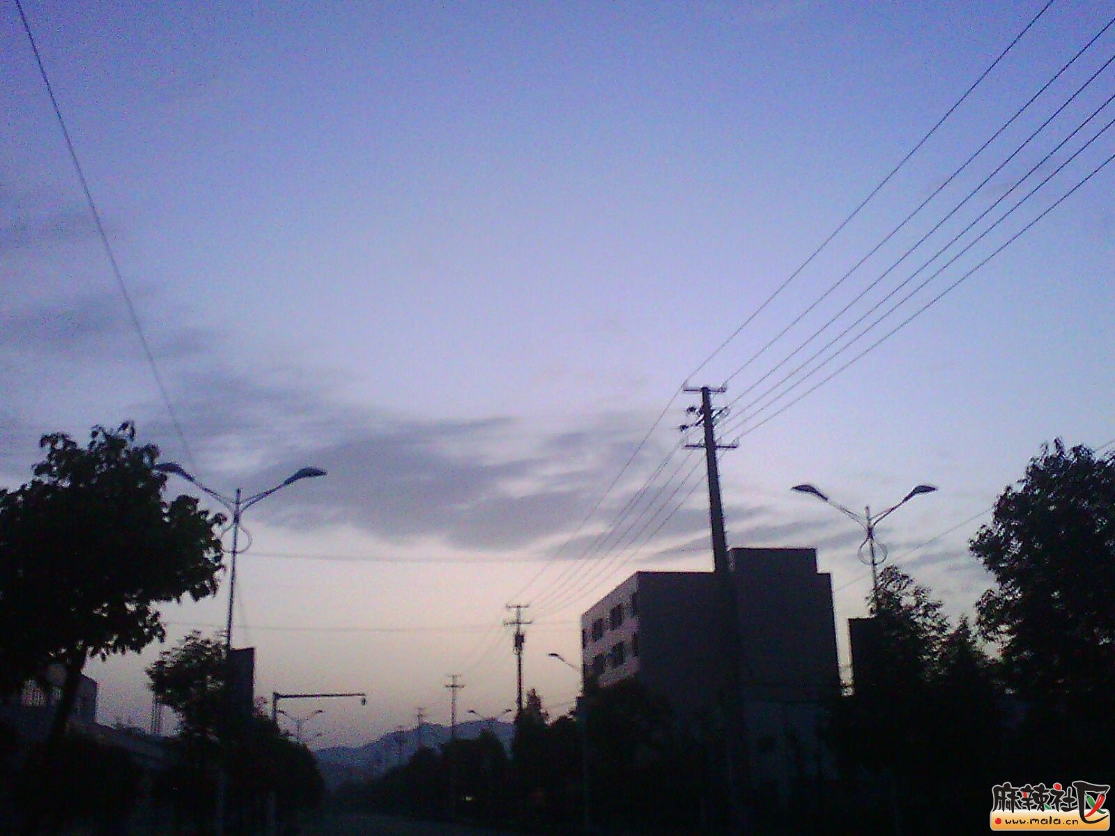 IMG03530.jpg