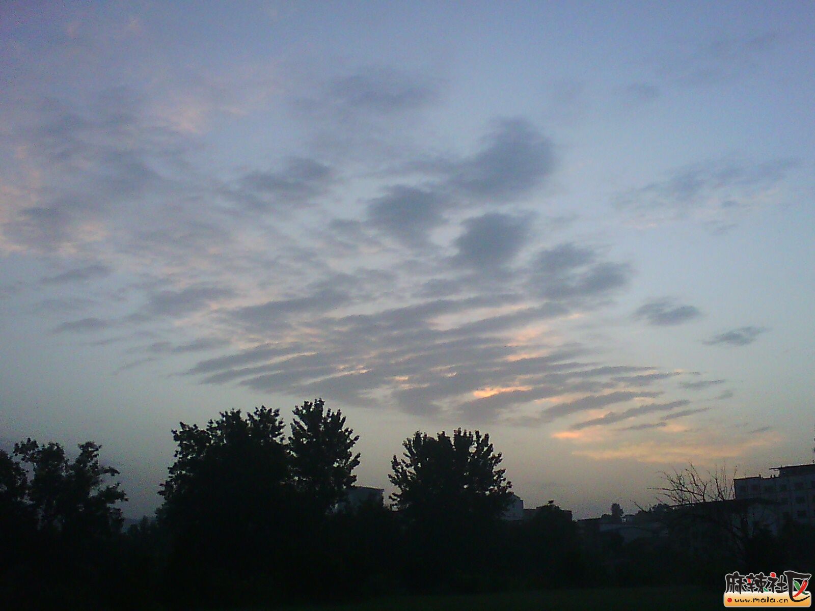 IMG03556.jpg