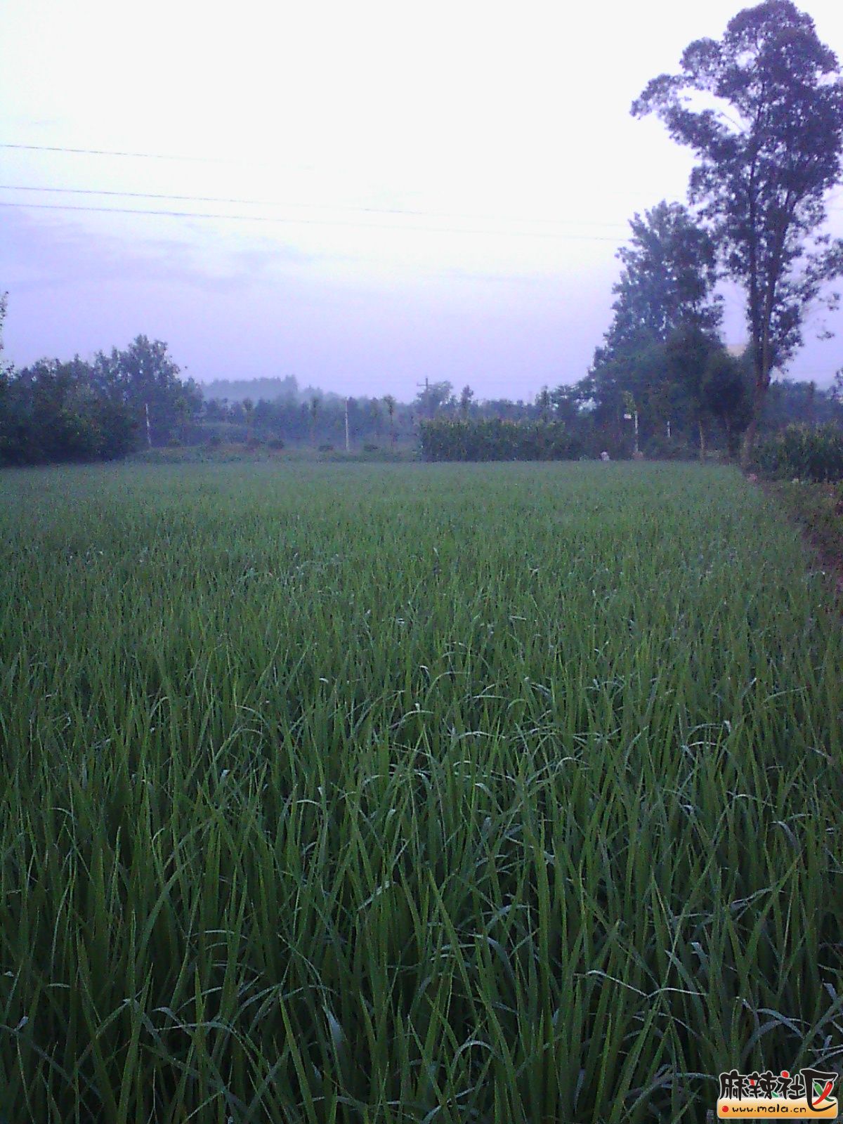 IMG03569.jpg