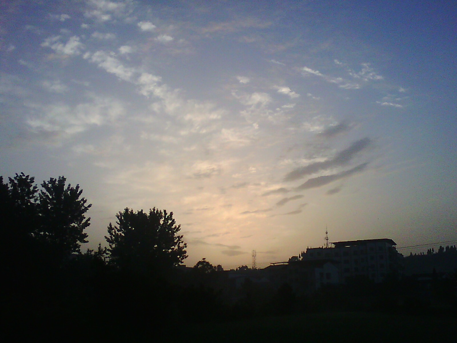 IMG03598.jpg