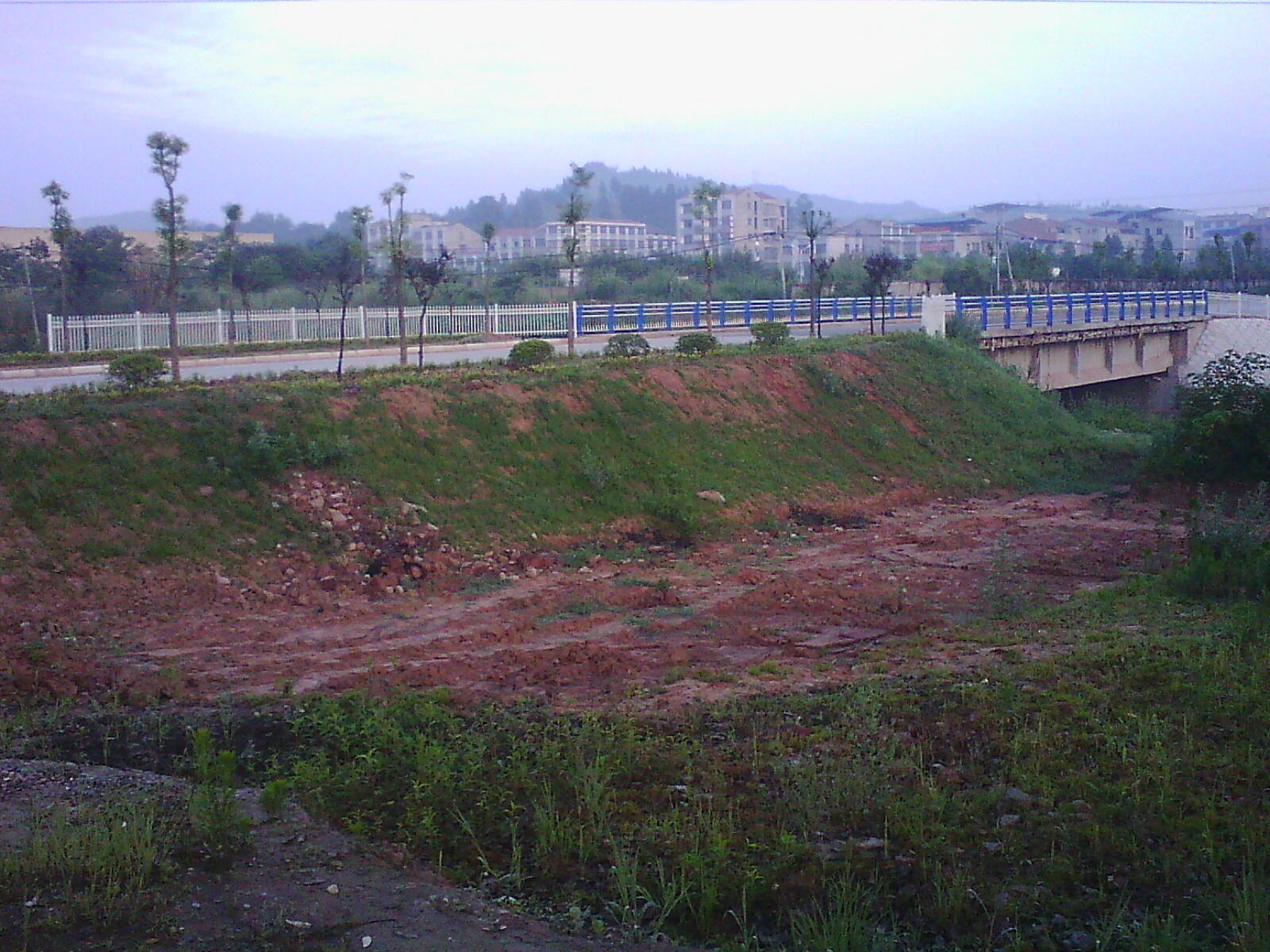 IMG03609.jpg