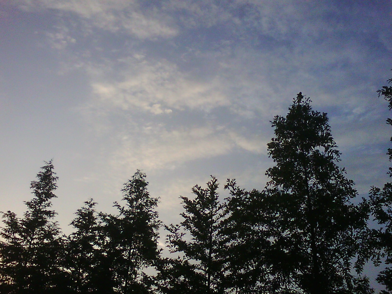 IMG03615.jpg