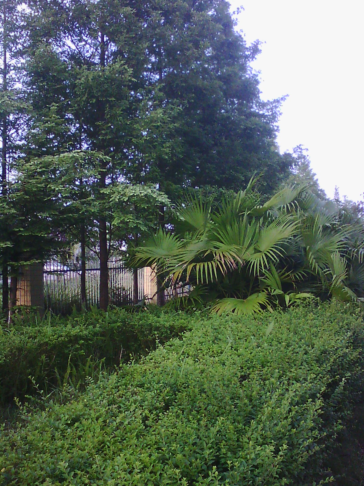 IMG03619.jpg