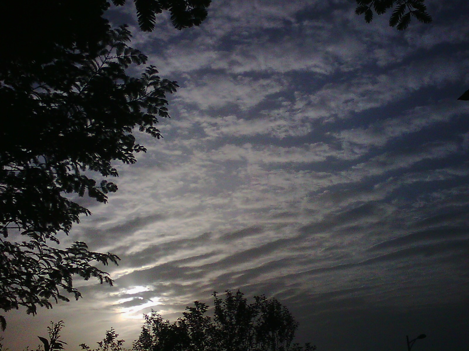 IMG03646.jpg