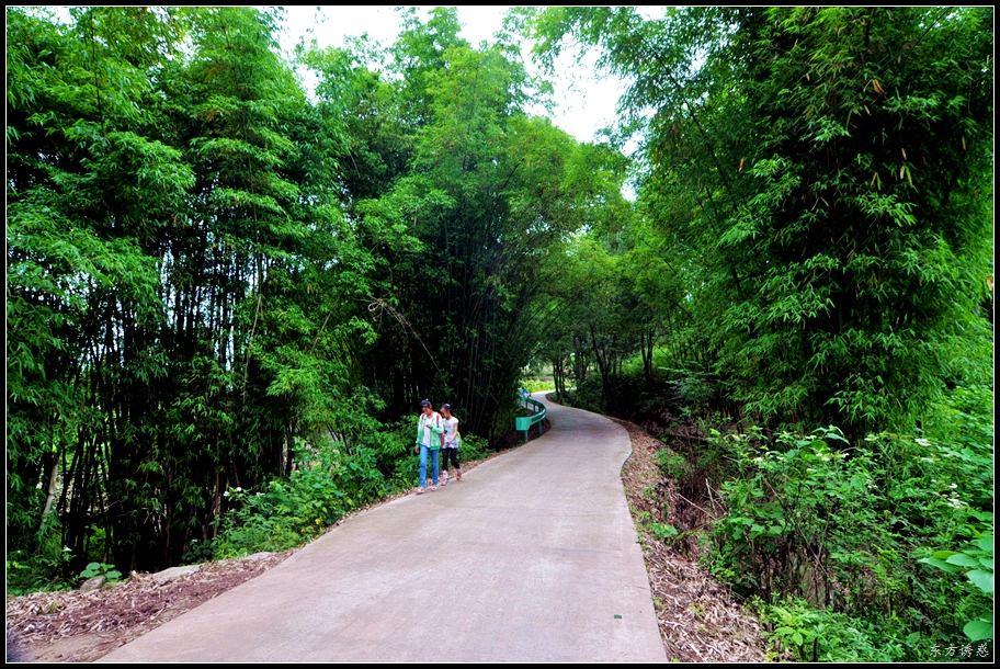 DSC_0016.jpg