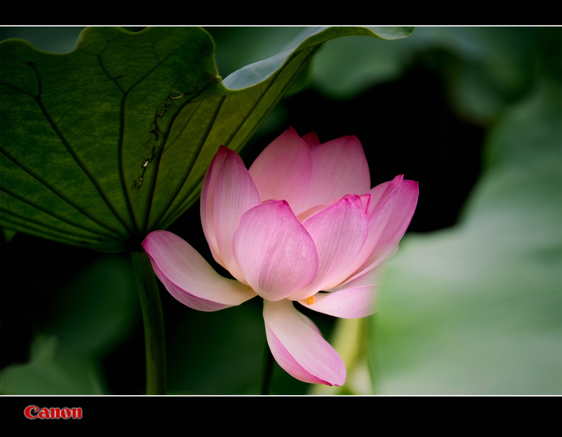 DSC_3895.jpg
