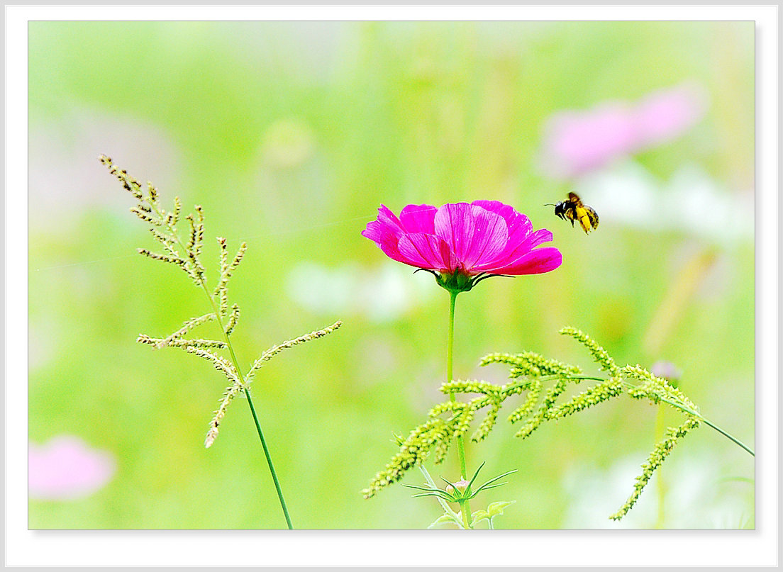 DSC_5890_.jpg