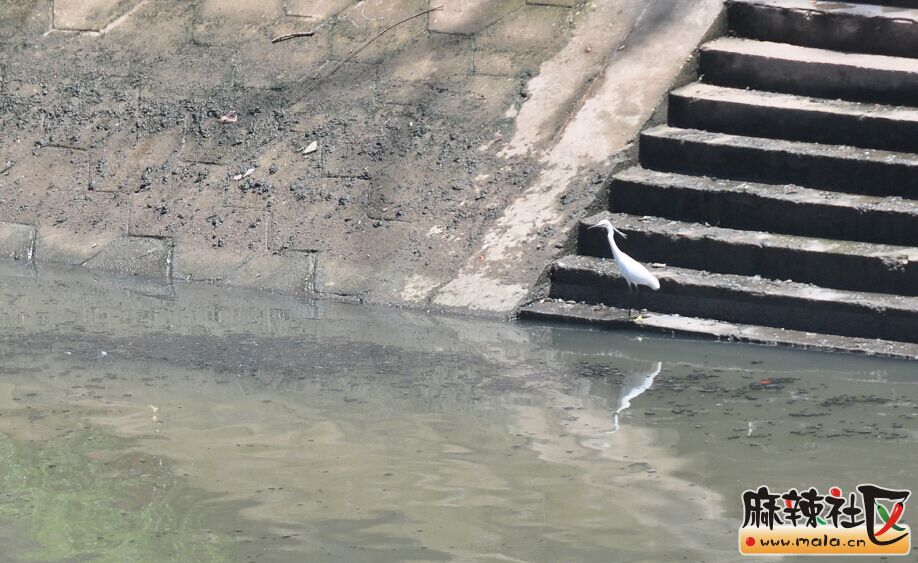 QQͼƬ20150605002859.jpg