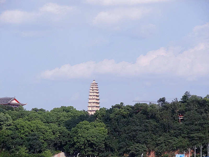 DSC09643_.jpg