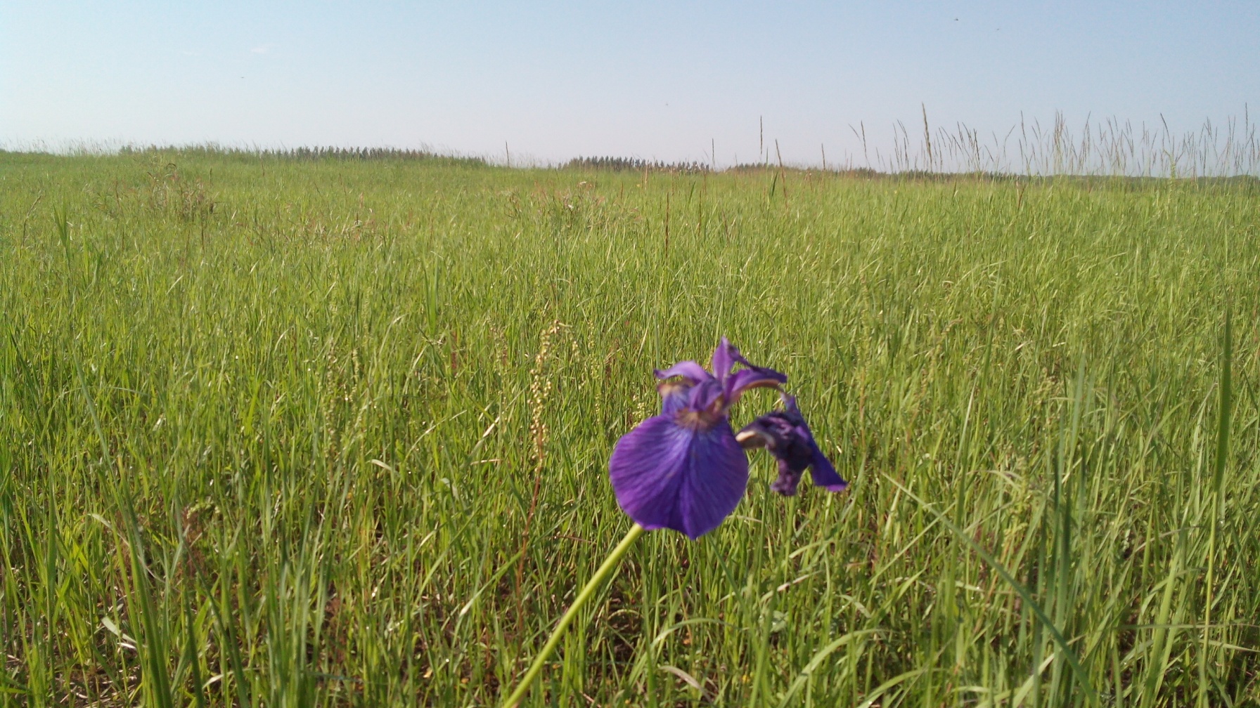  20150614071842.jpg