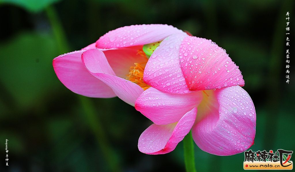 S98A8558_.jpg