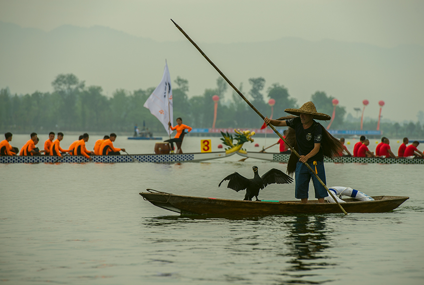 DSC_6073.jpga.jpg